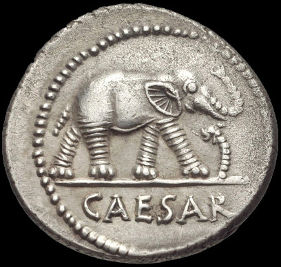 denarius-caesar-elephant-2