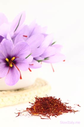 Saffron and saffron flowers