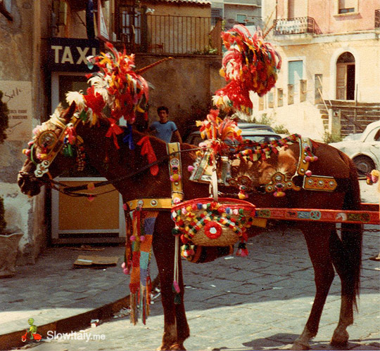 Carretto Siciliano, Family on a Sunday outing with a donkey