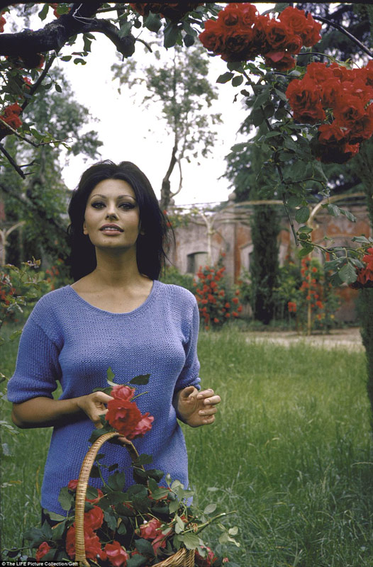 sophia-loren-villa-7b