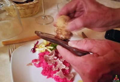 White Truffle Vade Mecum: Busting 10 Myths About Alba Truffles