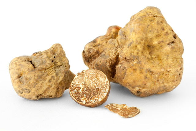 white-truffles-b.jpg