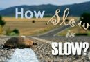 How Slow is Slow ? (Rant, thoughts and what Slow Italy stands for)